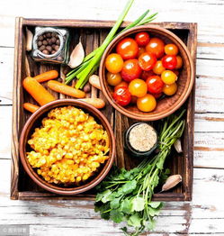 上海冷冻食品经营许可证申请指南