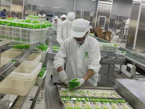 云南永善七彩食品投产运营获《中国食品安全报》关注 食品安全与特色经营的双赢之路