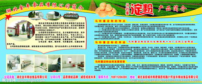 金丰食品图片 解析食品经营中的视觉营销与合规管理